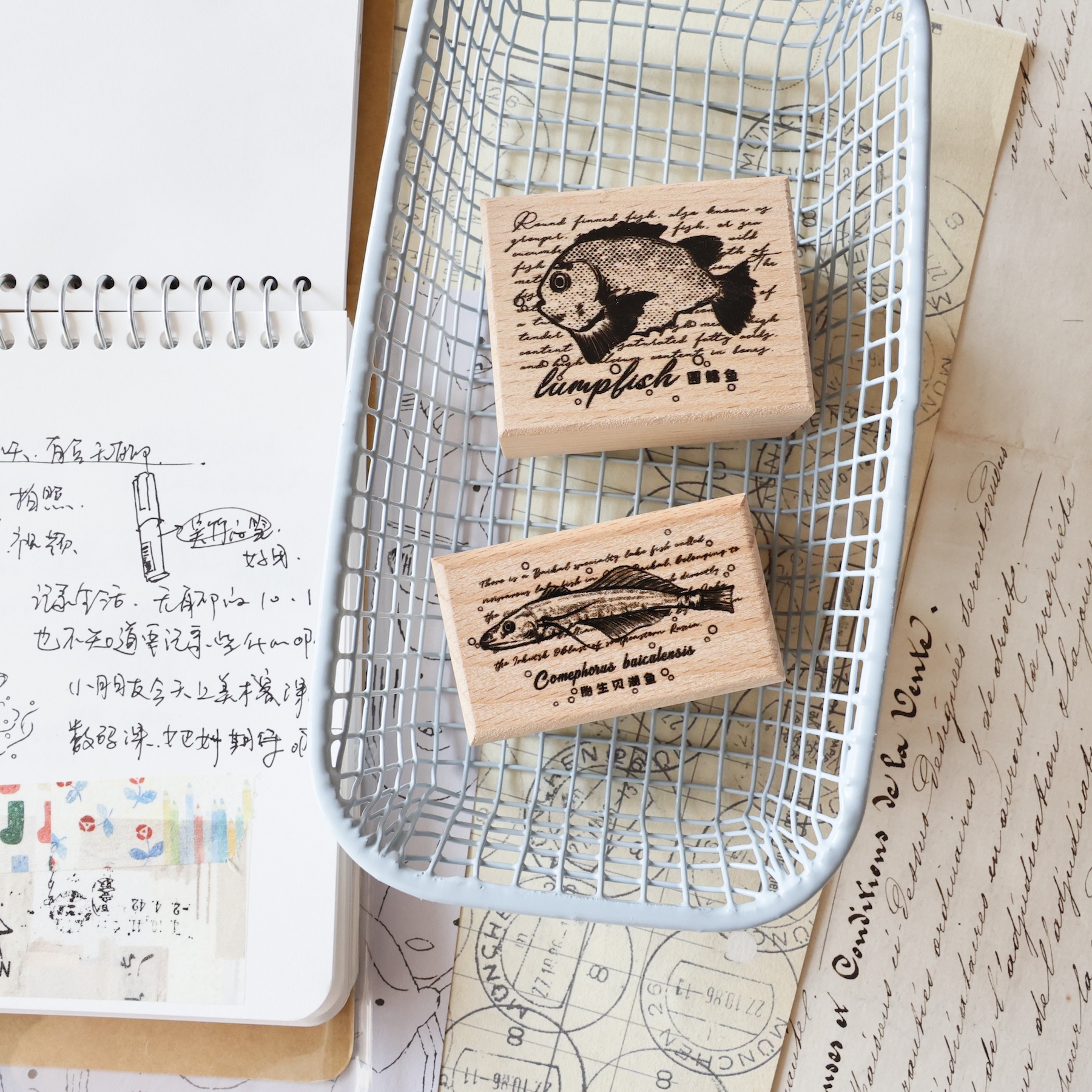 Two Raccoons ヴィンテージ リトルキャット デー - Rubber Date Stamp のレビューと価格
