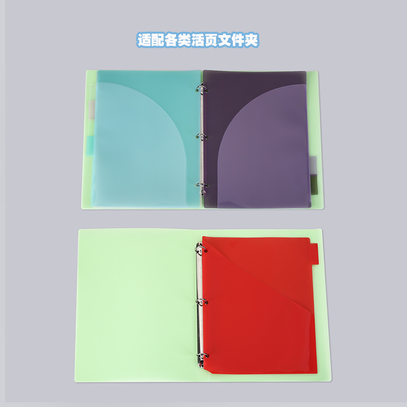 A4 3穴バインダーディバイダー 6タブ パステルキャンディ - Tab Divider A4 のレビューと価格