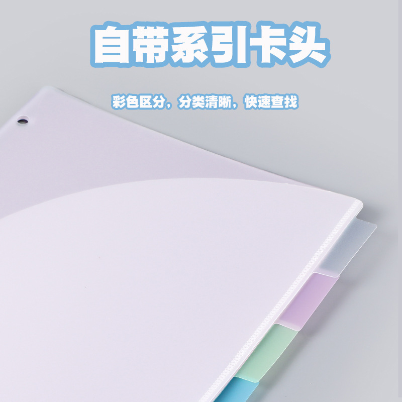 A4 3穴バインダーディバイダー 6タブ パステルキャンディ - Tab Divider A4 のレビューと価格